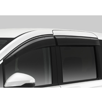 Door visors